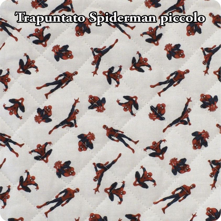 Spiderman piccolo